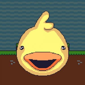 DuckWAK Online Action Game