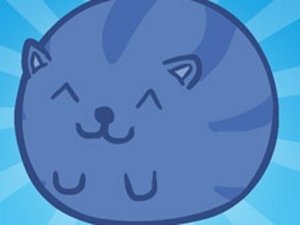 Sushi Cat Online Puzzle Game
