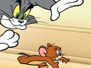 What's the Catch? Cat and Mouse Online Game