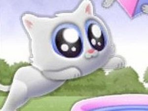 Extreme Kitten Online Game