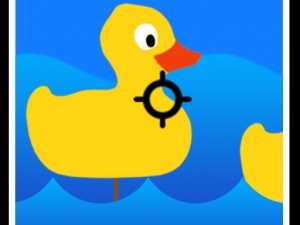Duck Target Arcade Adventure