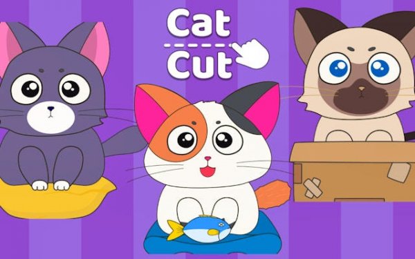 Cat Puzzle Physics Adventure